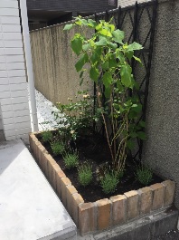 世田谷の植木屋が渋谷区でお庭をリフォーム"/